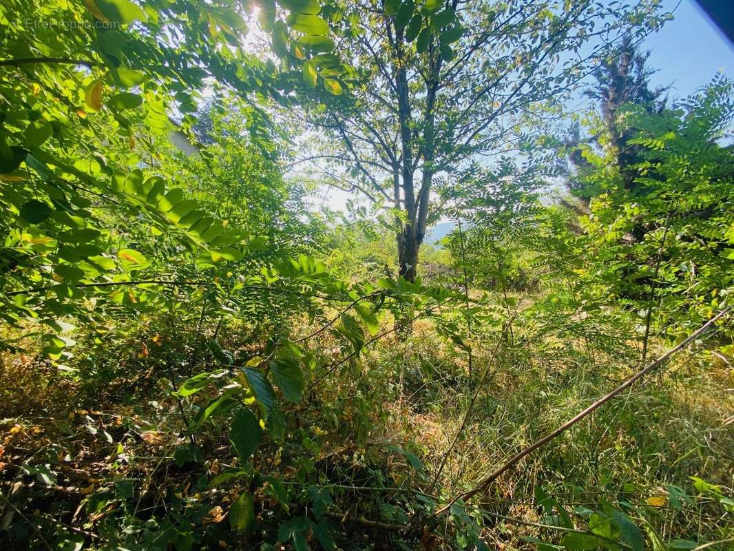 Terrain à CORNEILLA-DE-CONFLENT