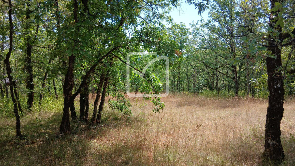 Terrain à CUZANCE