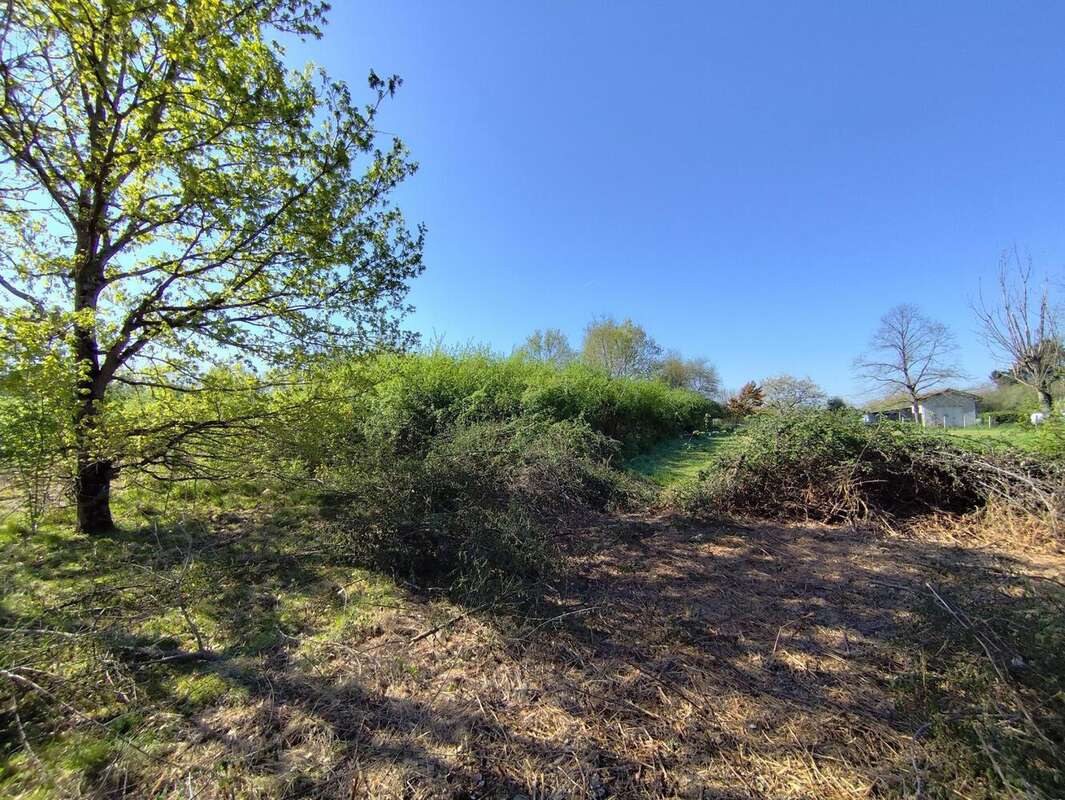 Photo 5 - Terrain à CASTELSARRASIN