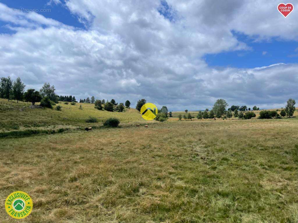 Terrain à PIERREFORT