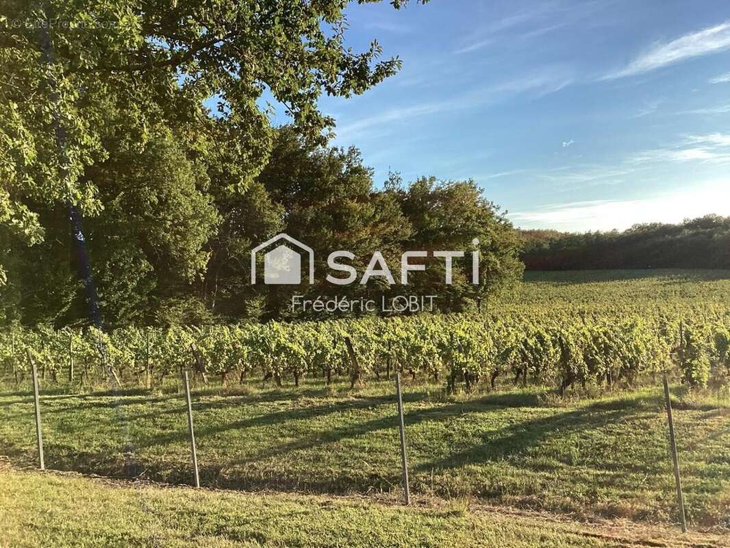 Photo 9 - Maison à PUYNORMAND