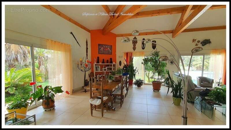 Villa de luxe à vendre 8 pièces LE GRAU D'AGDE de 326 m2 avec sous-sol de 150m2 (34) - photo 5