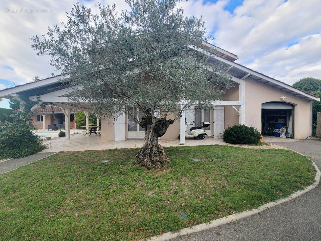 Maison à TIGNIEU-JAMEYZIEU