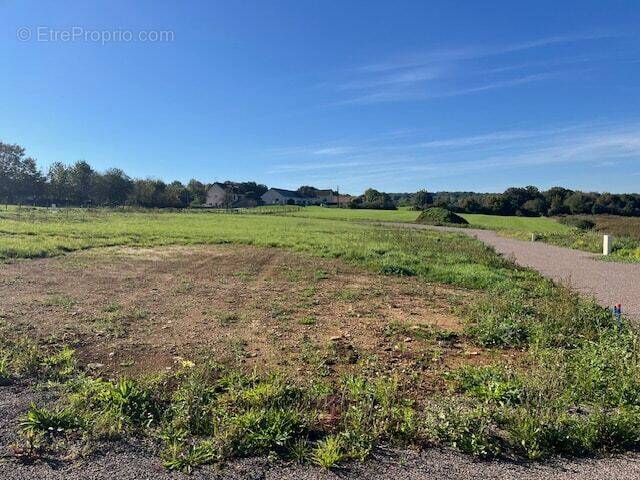 Terrain à VOUNEUIL-SOUS-BIARD