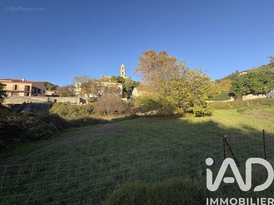 Photo 1 - Terrain à PATRIMONIO