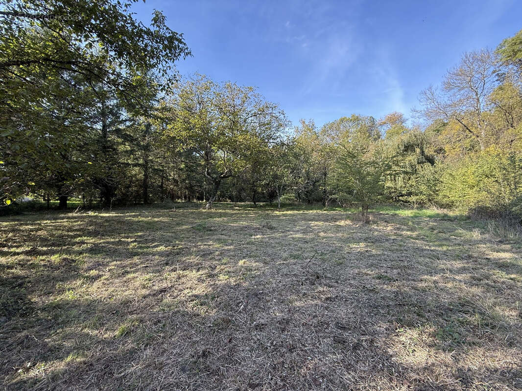 Maison à LA FERTE-IMBAULT