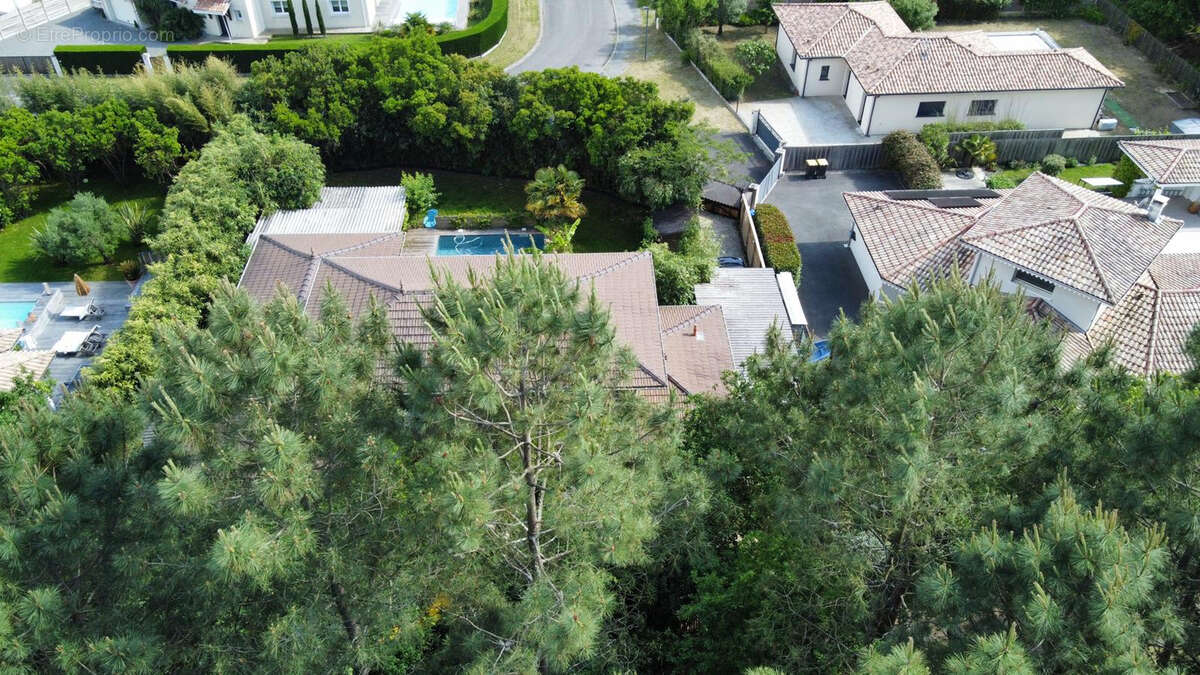 Maison à LEGE-CAP-FERRET