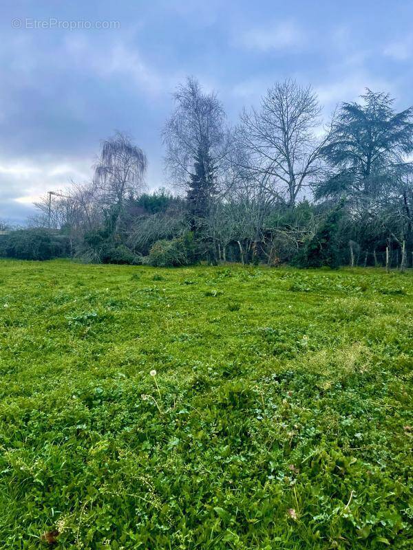 Terrain à COULOUNIEIX-CHAMIERS
