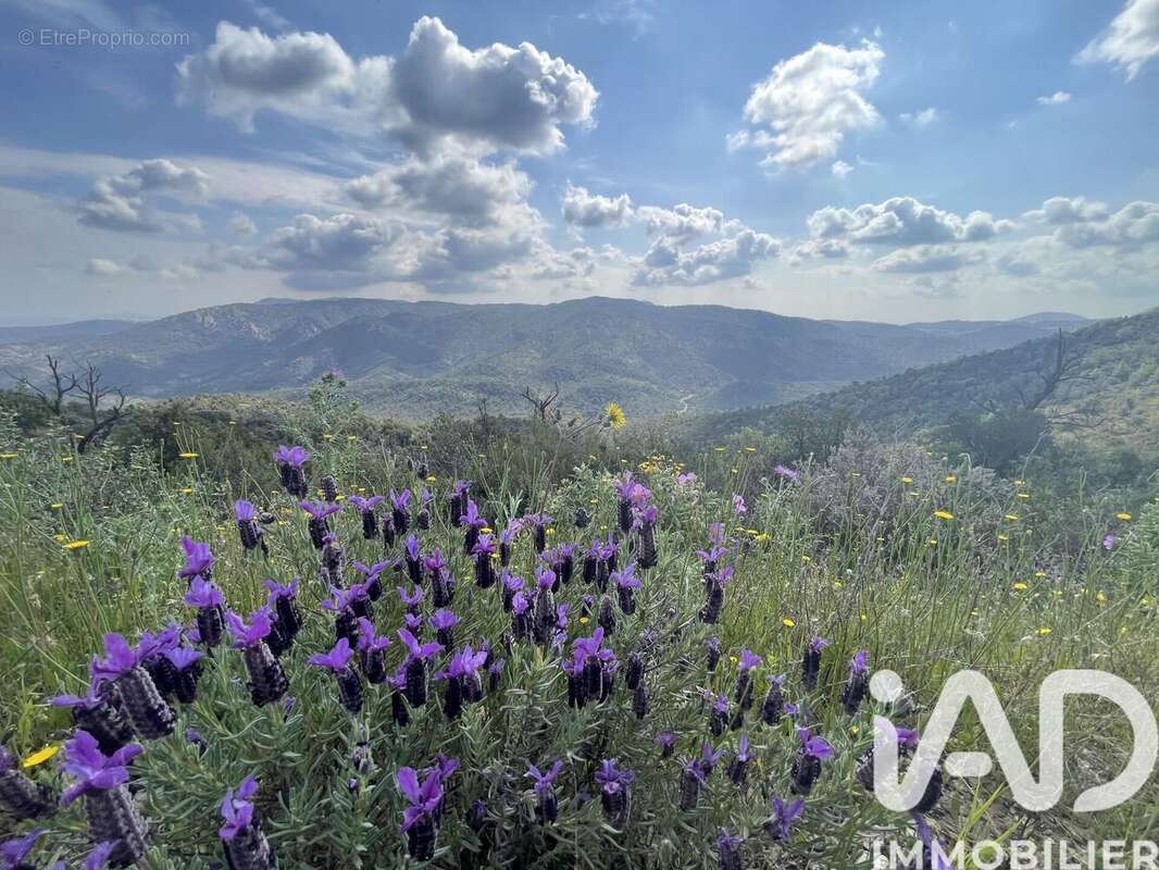 Terrain 39120 m² à Vidauban  - photo 4