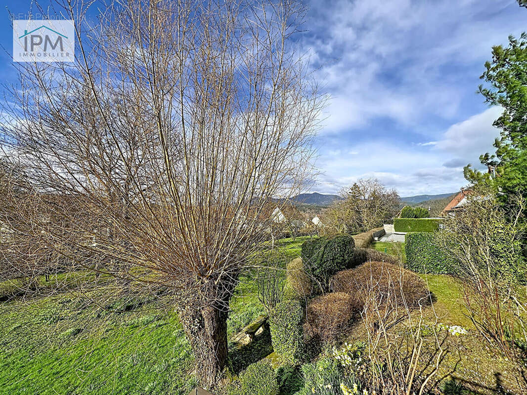 Terrain à NIEDERHASLACH