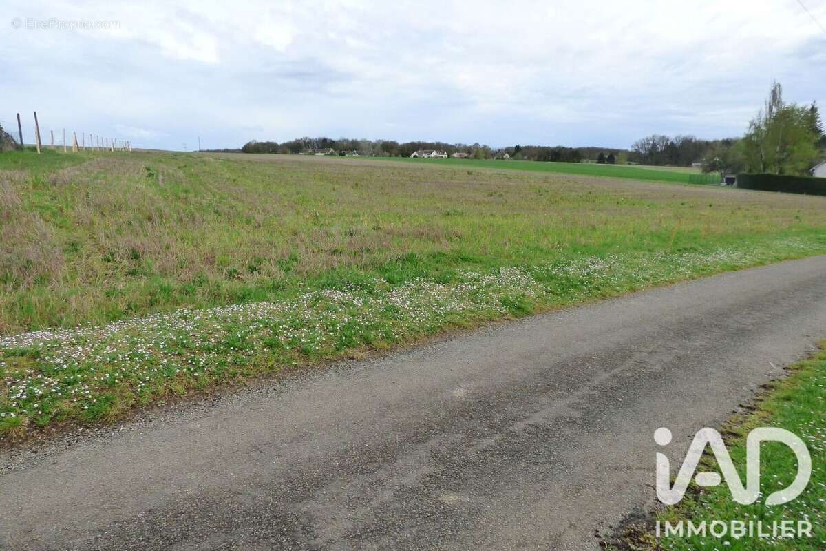 Photo 3 - Terrain à NANTEAU-SUR-LUNAIN