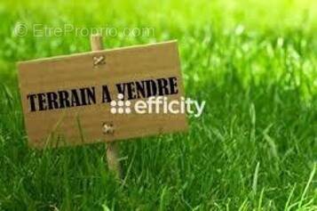 Terrain à LA MONNERIE-LE-MONTEL