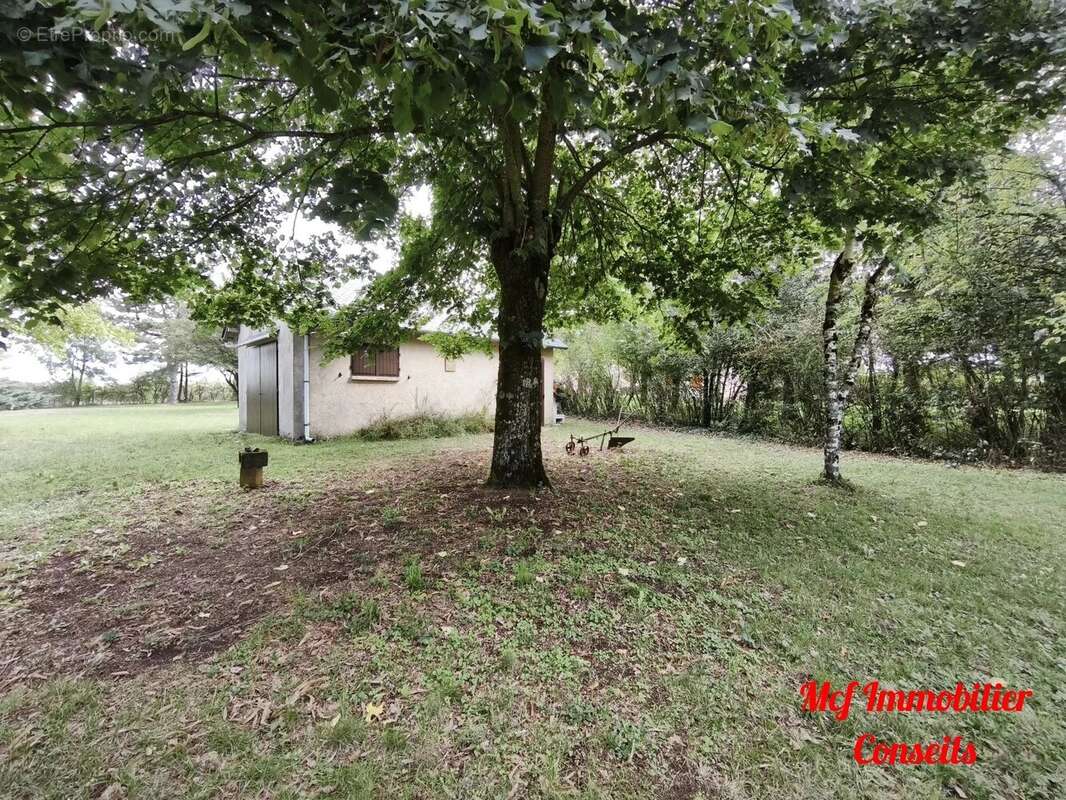 Terrain à VEZINS-DE-LEVEZOU