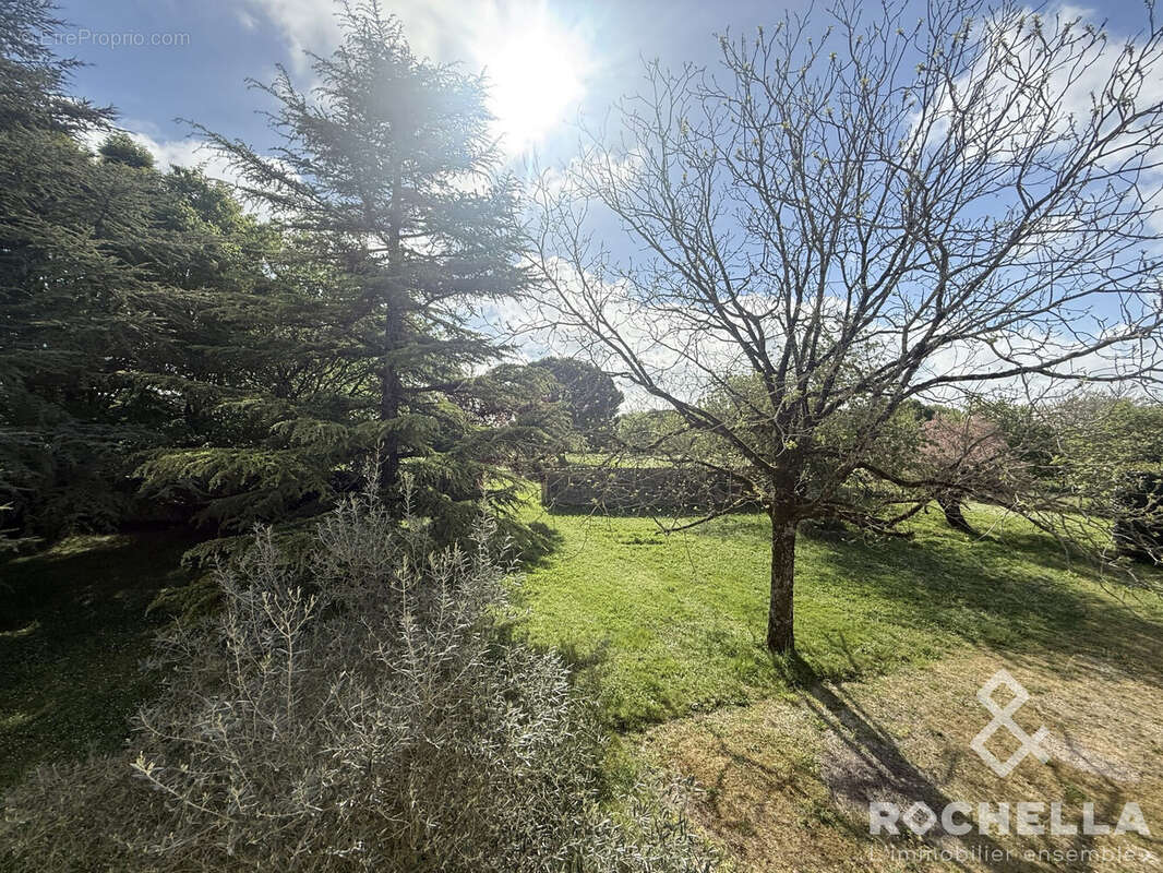 Maison 252 m² à Fontenet  - photo 4
