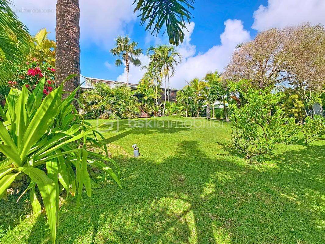 Maison à SAINT-FRANCOIS