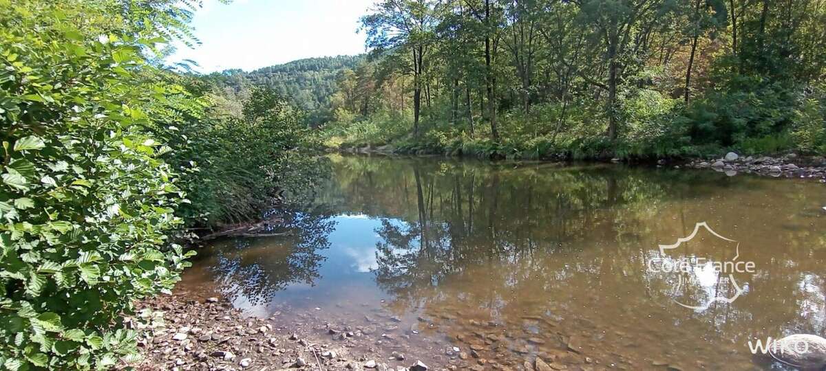 Maison à CHAMBORIGAUD