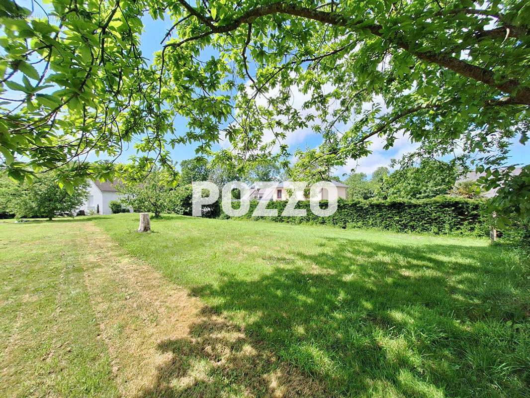 Terrain à SAINT-PLANCHERS