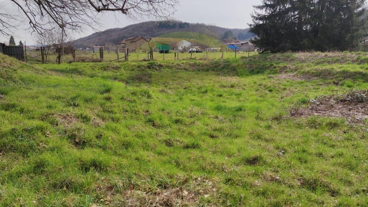 Terrain à LONGECHENAL