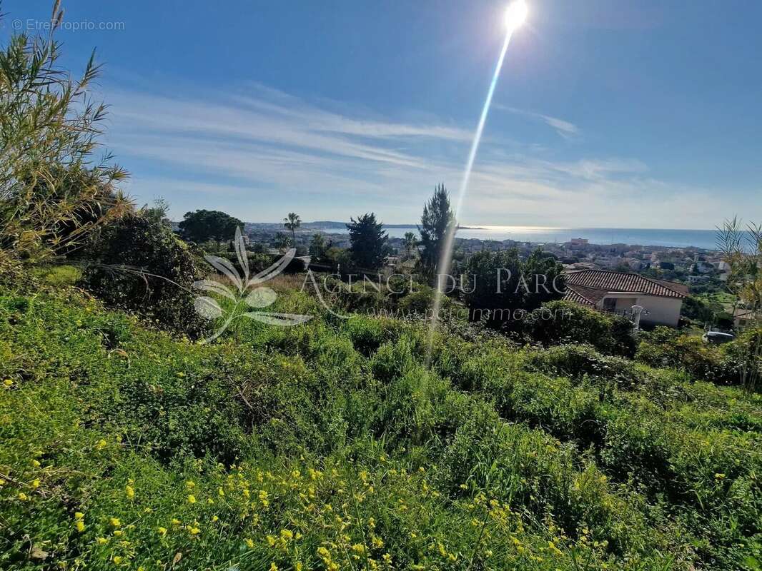 Terrain à VALLAURIS