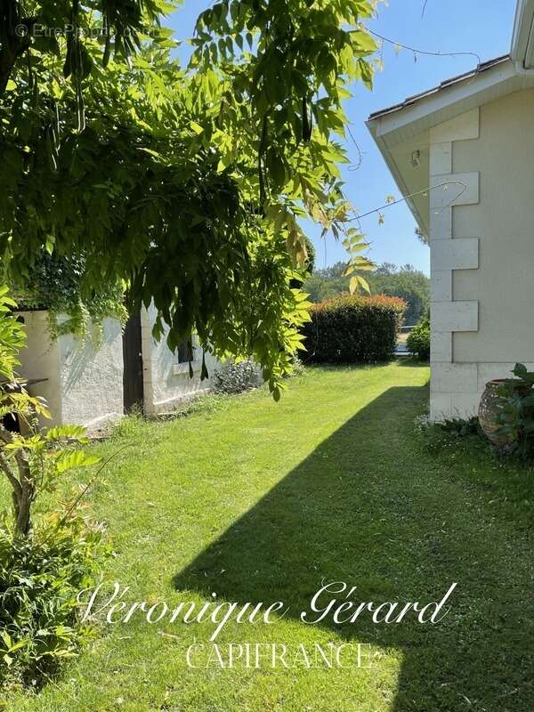 Belle Girondine avec Gîte et boxes pour chevaux à SAINT CHRISTOPHE DE DOUBLE sur 12000M² de terrain - photo 27