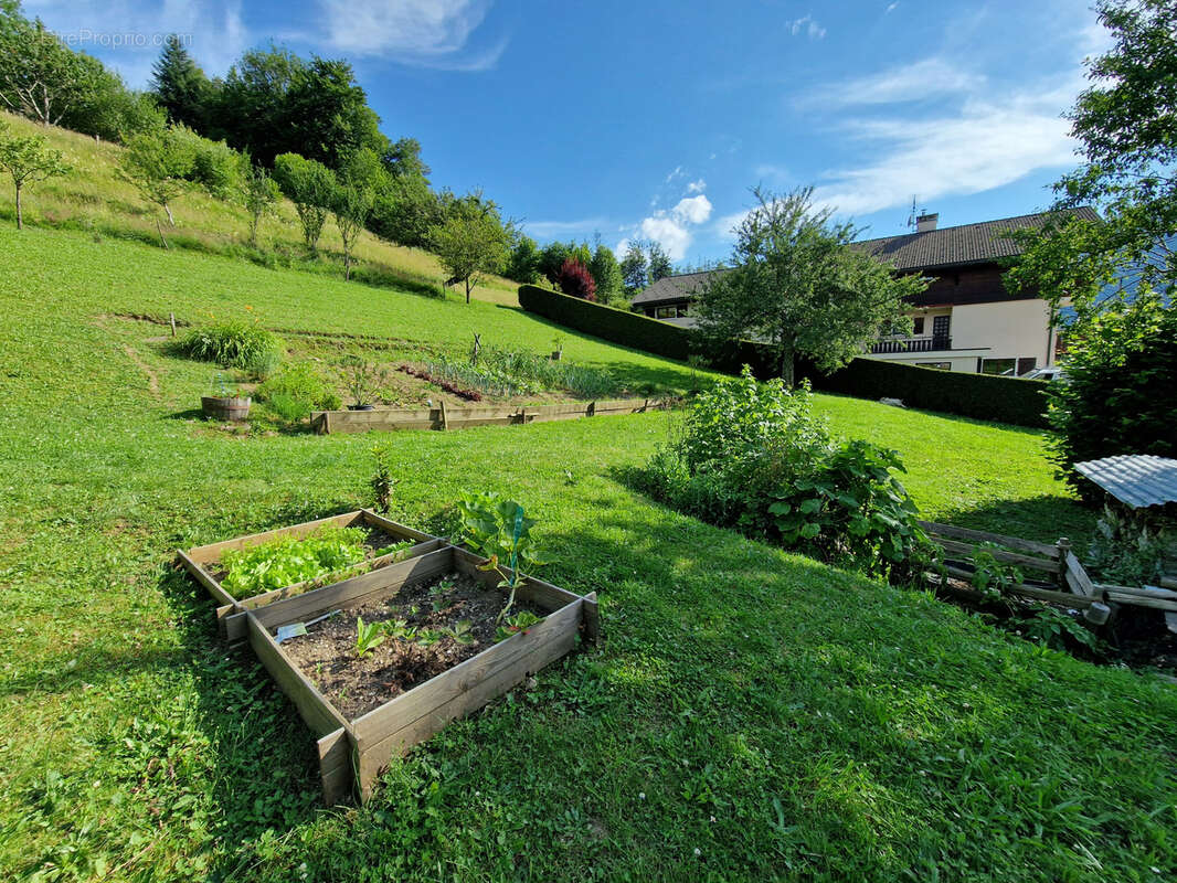 Terrain à THONES