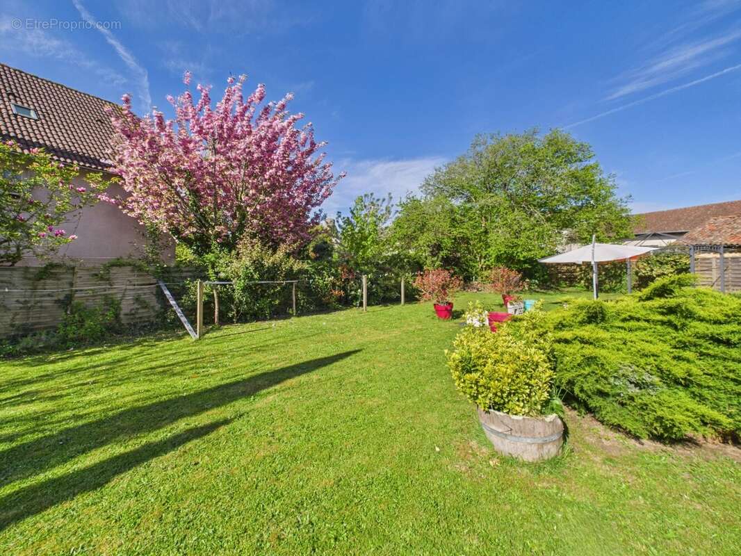 Maison à CHALUS