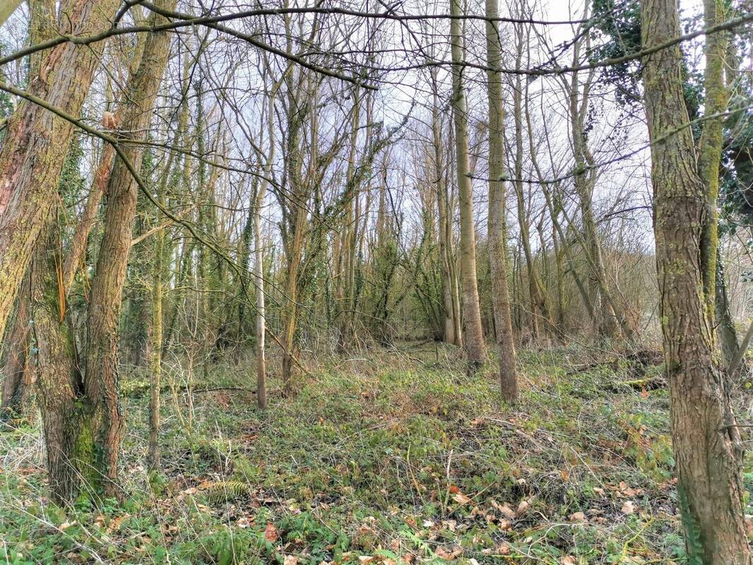 Terrain à LAMBALLE