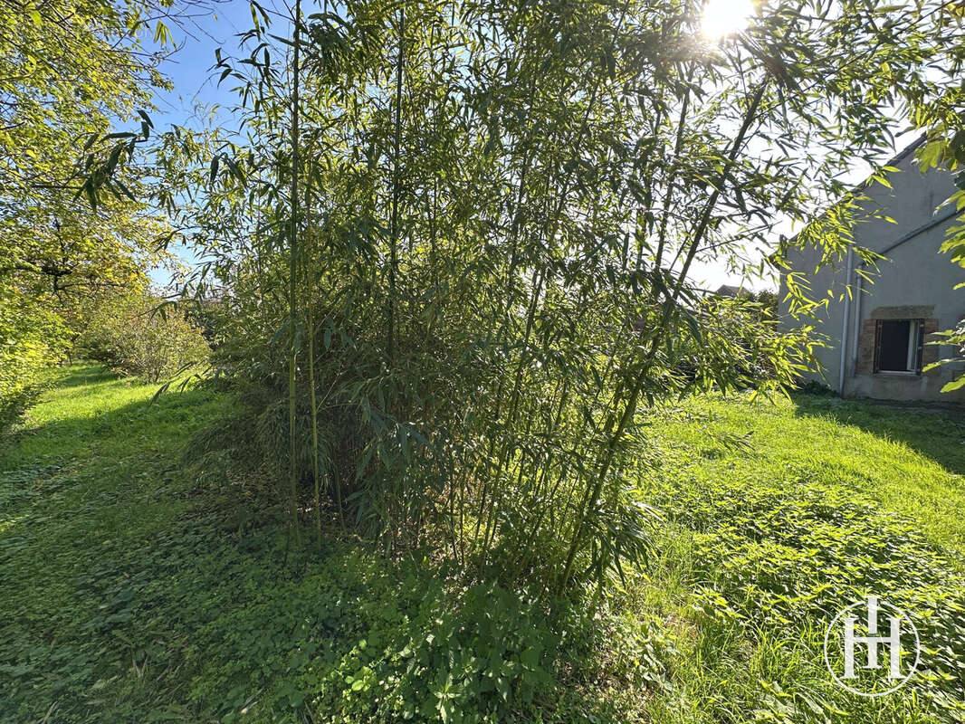 Maison à MONTLEVICQ