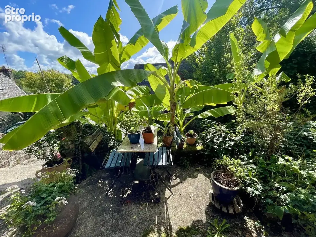 Maison en pierre avec chambres d'hôtes, piscine, gîte et espace bien-être - photo 17
