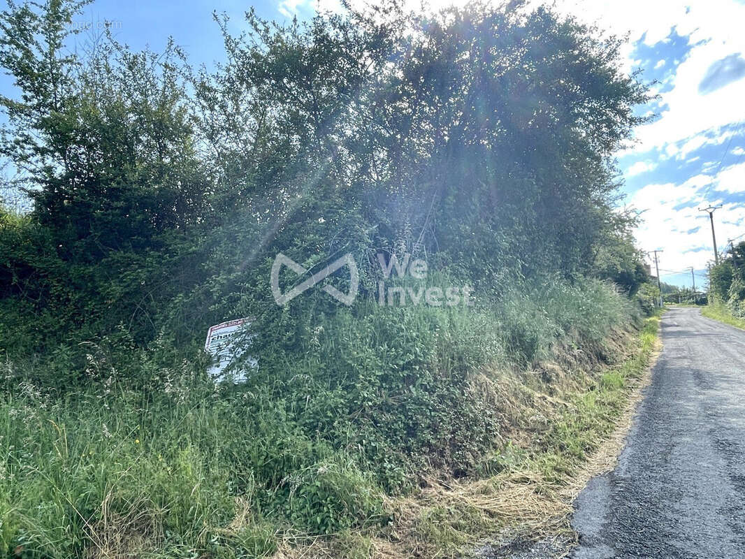 route principale en bas du terrain avec un dénivelé d'environ 2 mètres - Terrain à CRANSAC