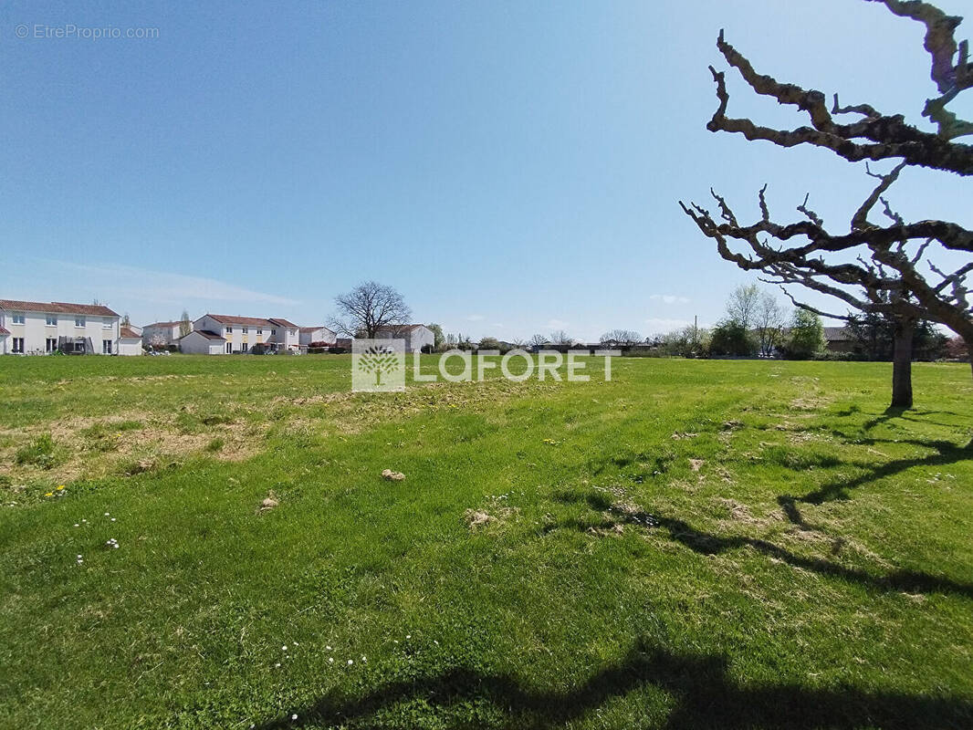 Terrain à CASTELSARRASIN