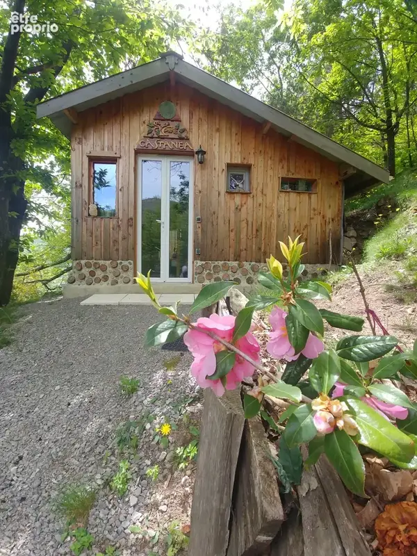Belle maison Ardéchoise avec gîtes sur le terrain de 9950m² - photo 28