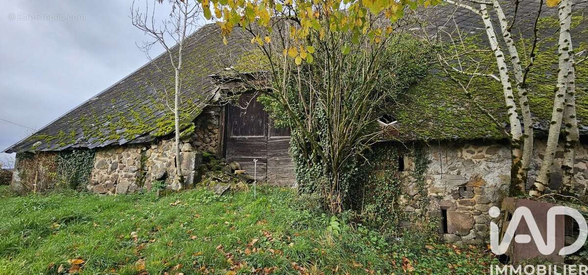 Photo 5 - Maison à SAINT-MARTIN-CANTALES