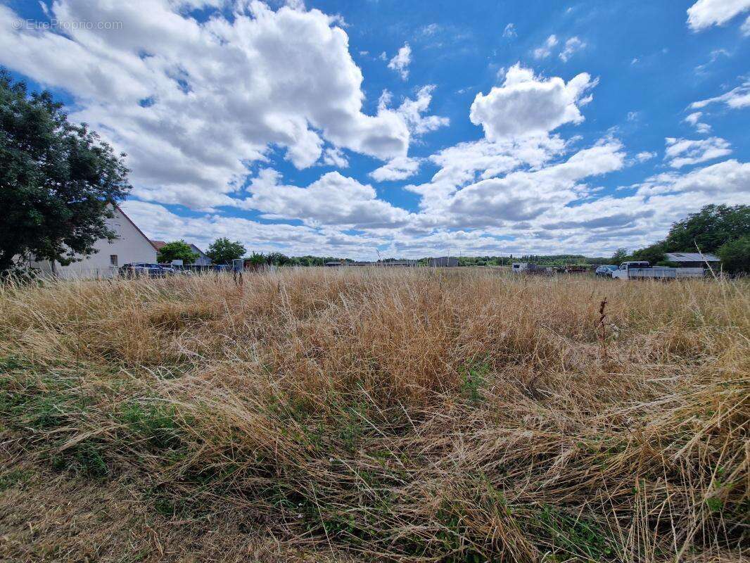 Terrain à CHATILLON-SUR-CHER