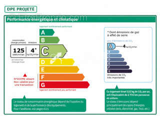 3%.com-- Duplex 4 pièces avec jardin à ROESCHWOOG - photo 5