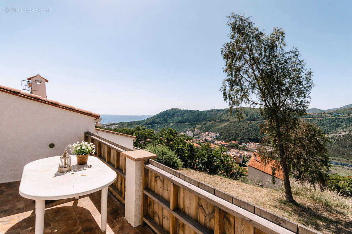 Villa 4 faces avec vue mer & montagnes   328 m2   Cerbère - photo 10