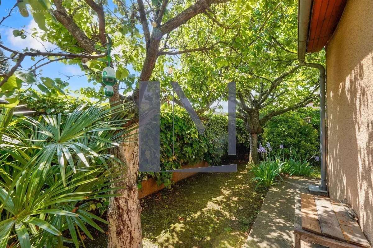 Maison à TOURNEFEUILLE