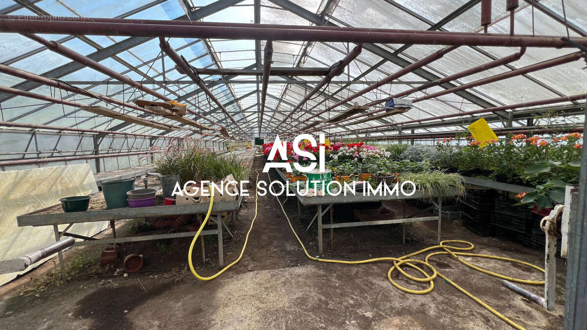 Terrain à LA FERTE-MACE