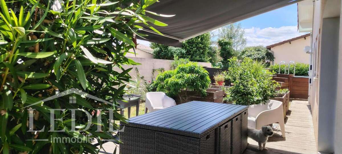 Contemporaine à langon - photo 2