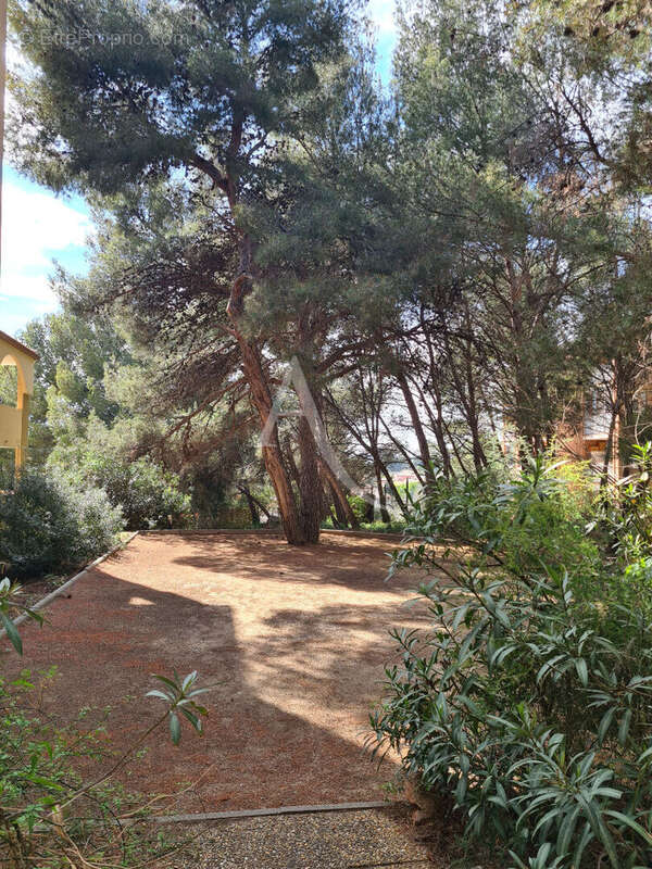 Appartement Balaruc Les Bains 1 pièce(s) 20 m2 avec terrasse et piscine - photo 17