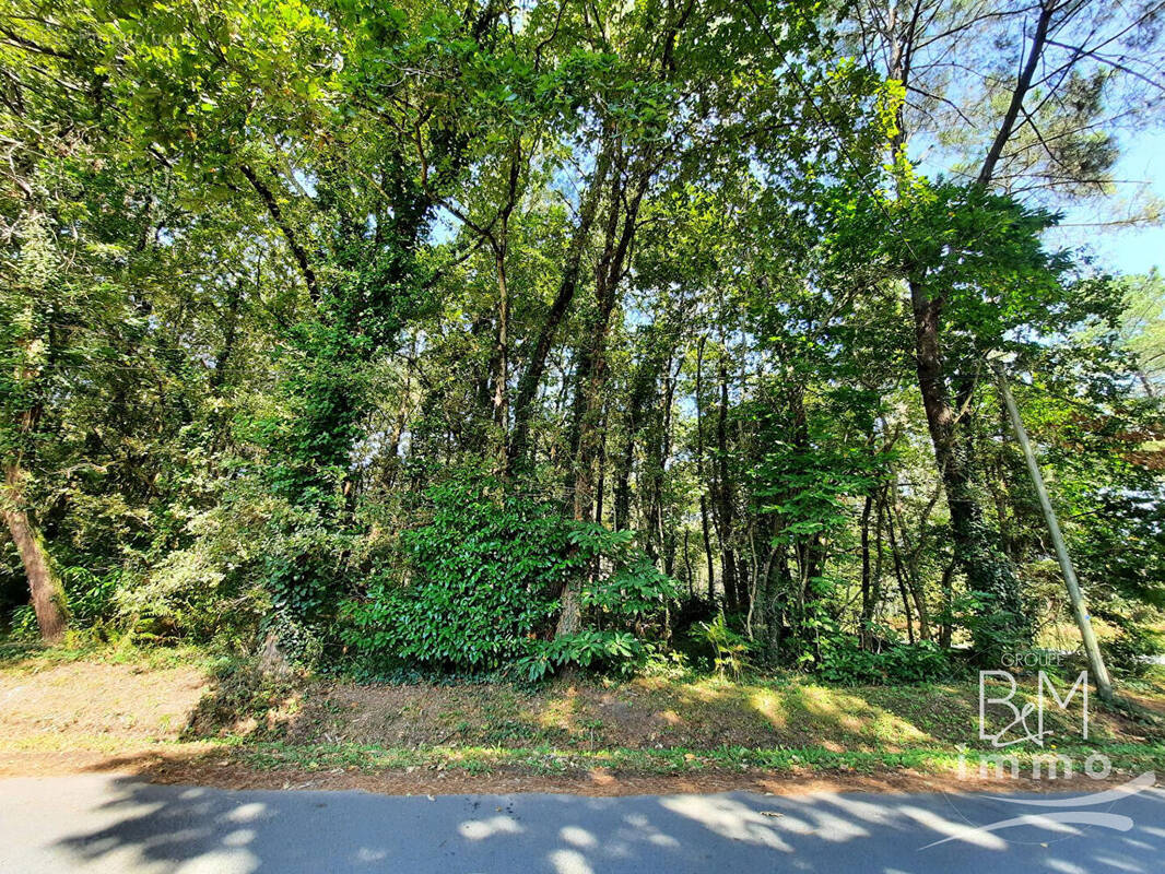 Terrain à BENESSE-MAREMNE