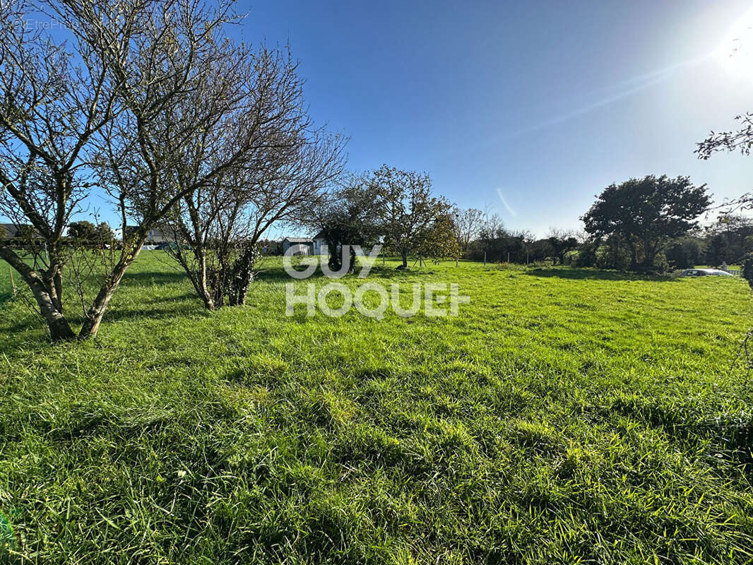 Terrain à LA FEUILLIE