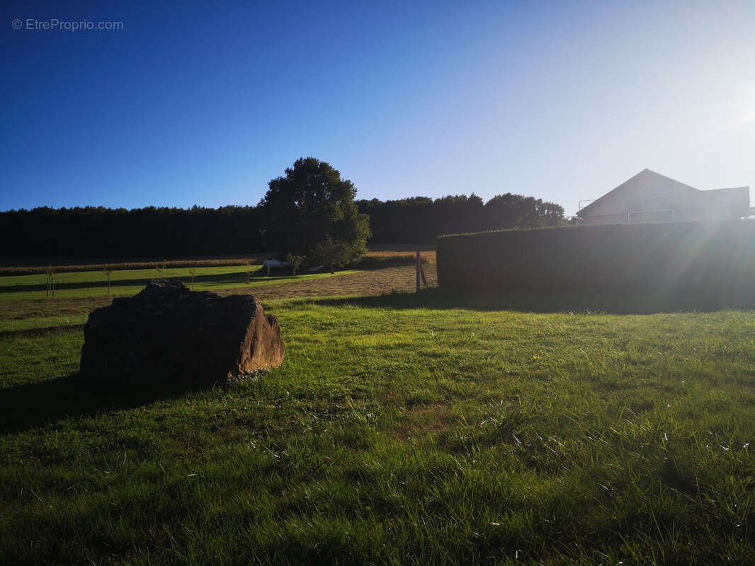 Terrain à LOBSANN