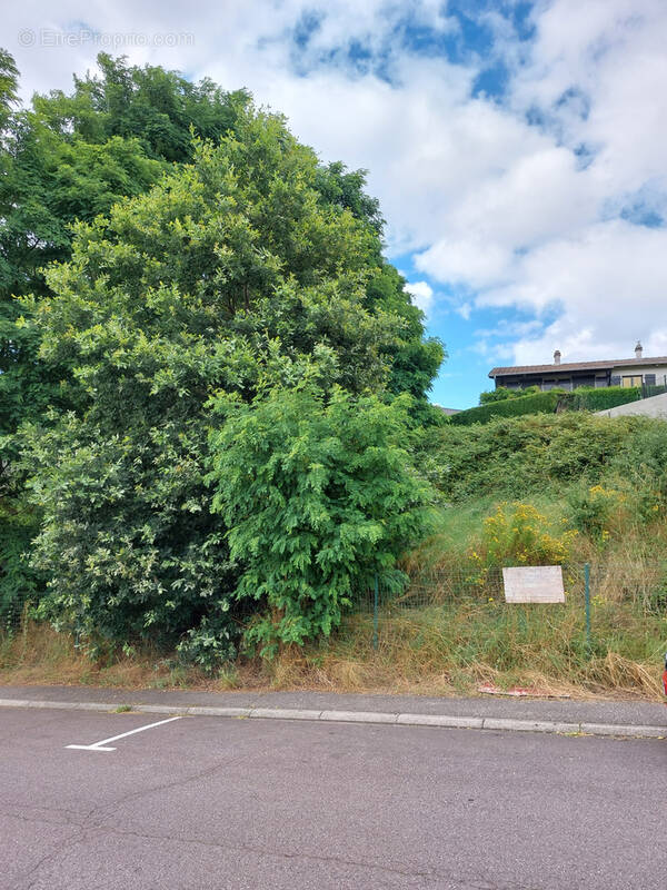 Terrain à CREUTZWALD