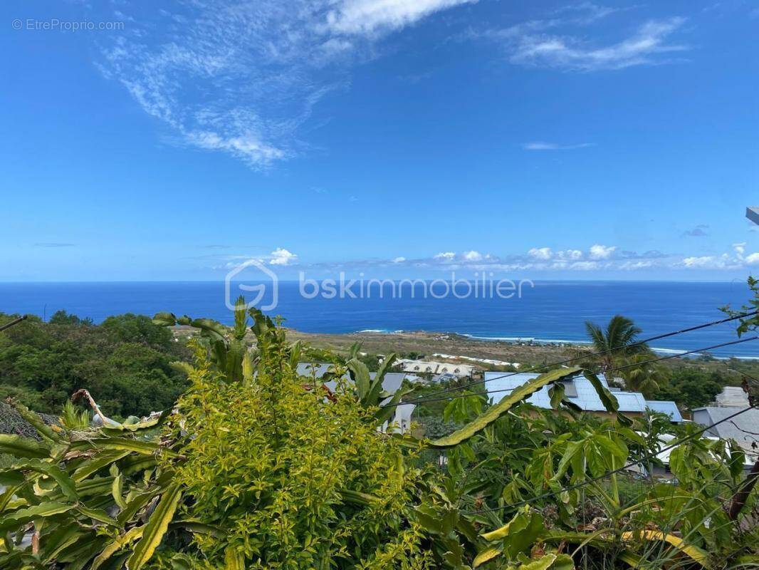 Terrain à SAINT-LEU