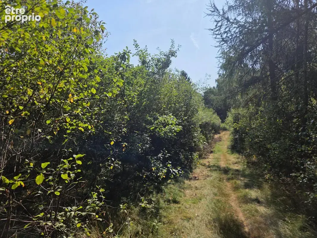 Terrain 16790 m2 - photo 3