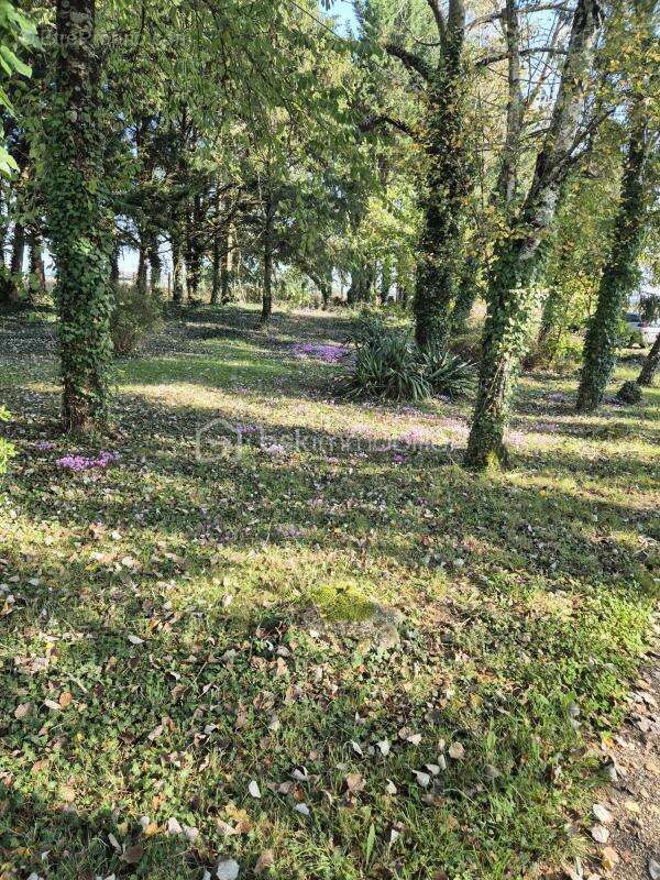 Maison à VILLIERS-AU-BOUIN