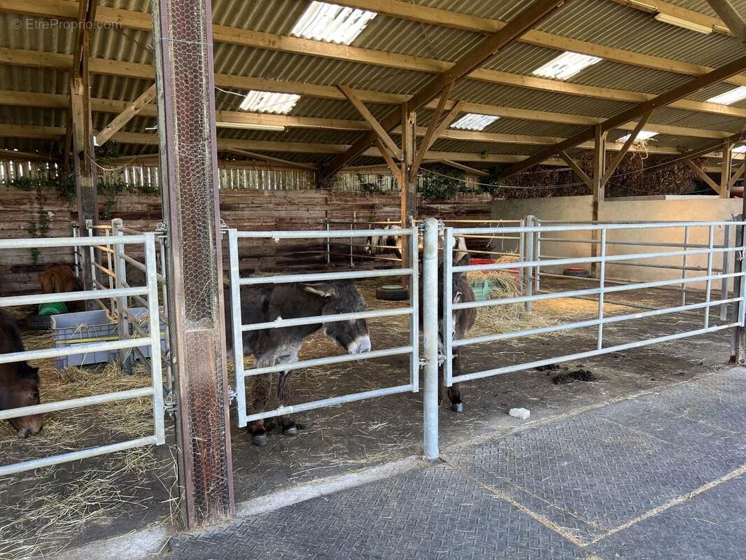 Ferme et domaine équestre avec 4 maisons et plus de 24 ha de terres et de pâturages - photo 16