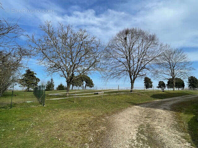 Photo 7 - Maison à LA FERTE-GAUCHER