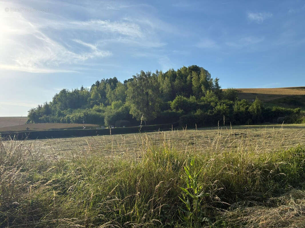 Terrain à REMAUCOURT